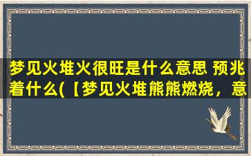 梦见火堆火很旺是什么意思 预兆着什么(【梦见火堆熊熊燃烧，意味着什么？】)